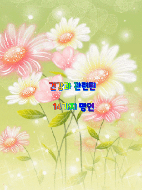  건강과 관련된 14가지 명언