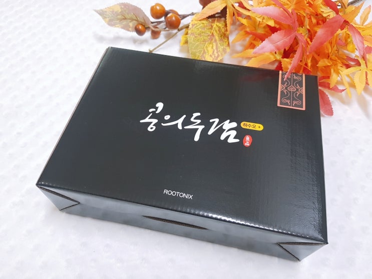  머리에좋은음식 루토닉스 콩의두감 선물세트로 효도해요