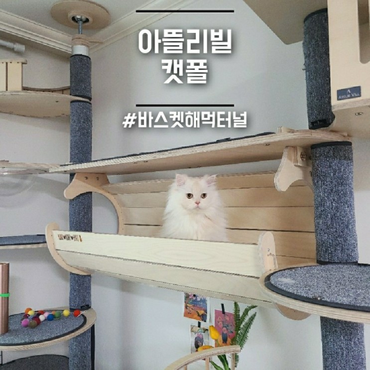 고양이캣폴] 아뜰리빌_ 바스켓해먹터널 브릿지_ 3개월 사용후기