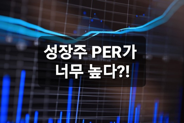 성장주 투자결정 PER만으로 부족하다!