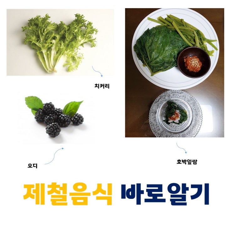  [중1동][중2동][우1동][우2동][우3동] 제철음식 바로 알기 (우동,중동 공인중개사학원) 제철 음식 바로알기