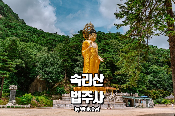  충북 보은 속리산 법주사 힐링여행