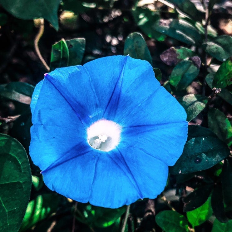  가끔은 어리석어보자