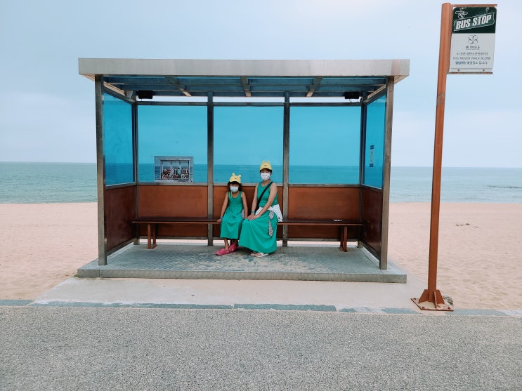 양양 도깨비 촬영지, 주문진 BTS 버스정류장, 남애 & 하조대 해수욕장 장단점