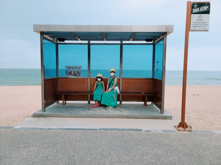  양양 도깨비 촬영지, 주문진 BTS 버스정류장, 남애 & 하조대 해수욕장 장단점