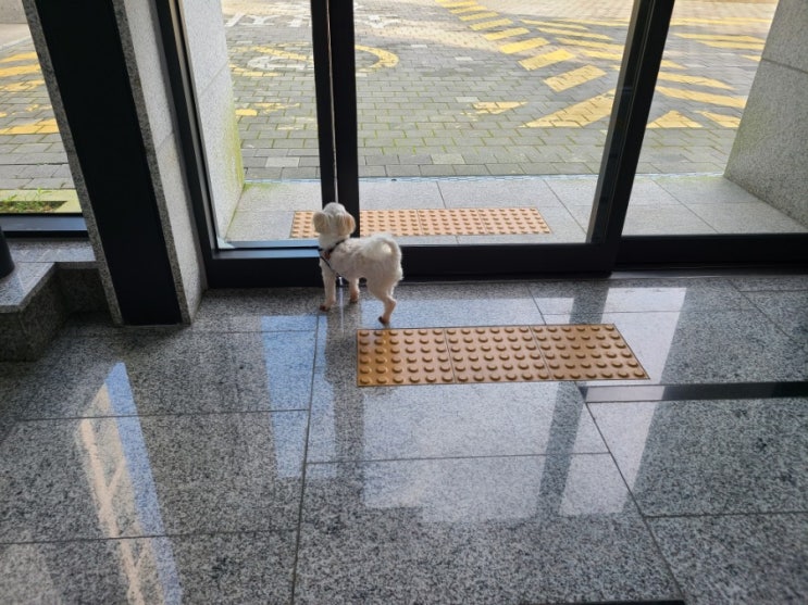  응?공용문이 안 열리네