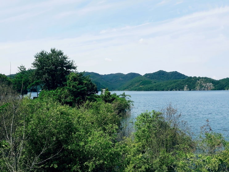  도로 편입과 토지보상