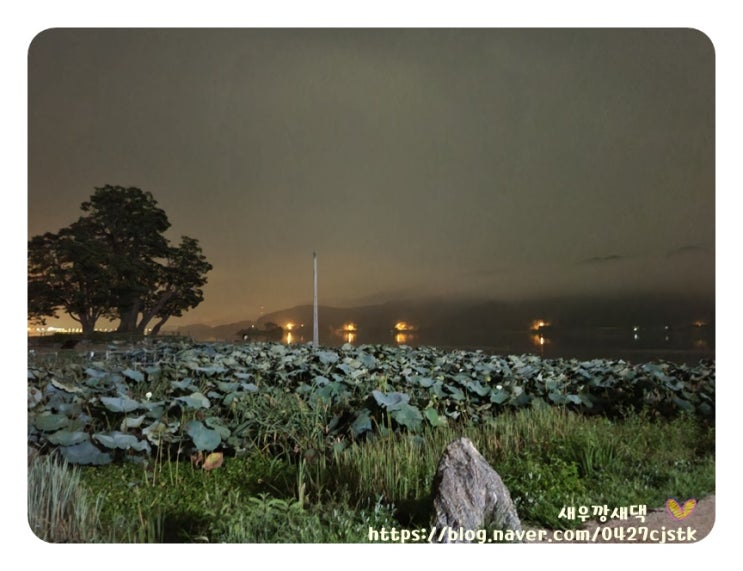  갤럭시노트 20 울트라 심야 카메라 성능 테스트 - (feat.양평 두물머리 맛집 새벽12시30분 촬영)