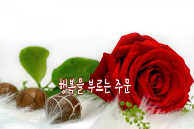  "행복을 부르는 주문" - 감사하는 습관은 기쁨을 부르고, 기쁨은 행복을 부른다. 지금 여기에서 감사하는 습관은 행복을 부르는 주문과 같다.