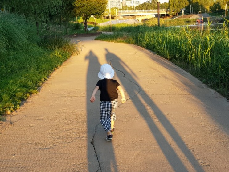 아이랑 산책하기 좋은 일산 안골공원. 킨텍스 수변공원