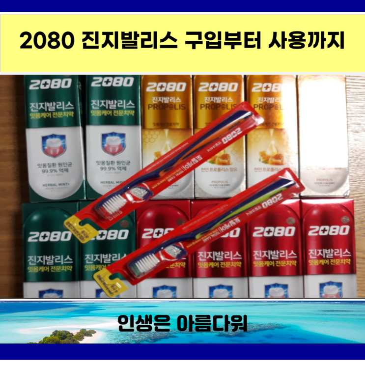  2080 진지발리스 구입부터 사용까지