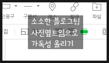 블로그 편집팁) 사진은 옆트임으로 큼직하게