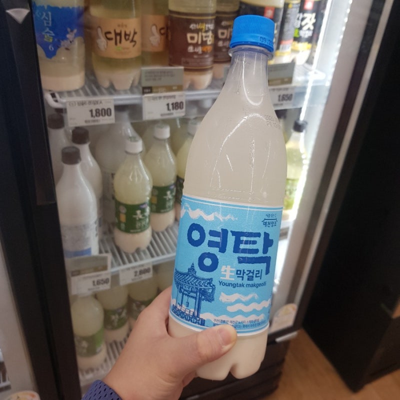 영탁막걸리 후기