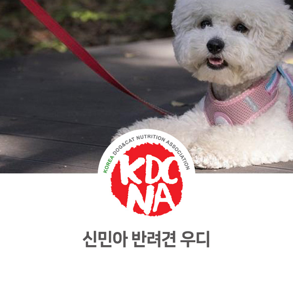  [연예인 강아지 이야기] 신민아 반려견 푸들 우디_615