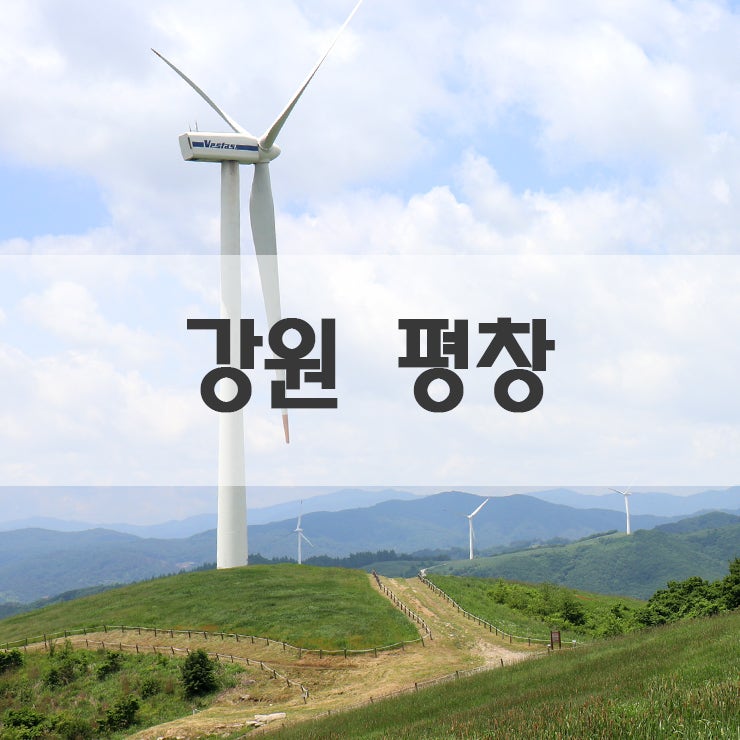 구름속의산책 사진 1