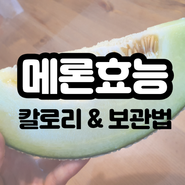 메론 효능 칼로리 보관법 알고 더 맛있게 즐겨요