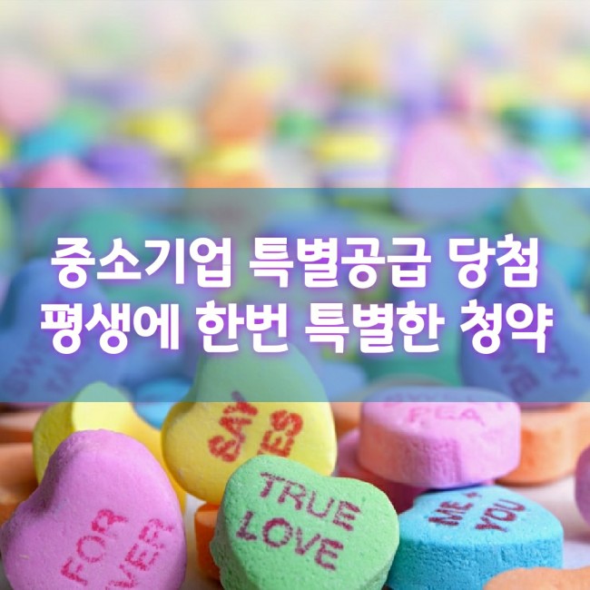  중소기업 특공 평생에 단 한번 특별한 청약하세요
