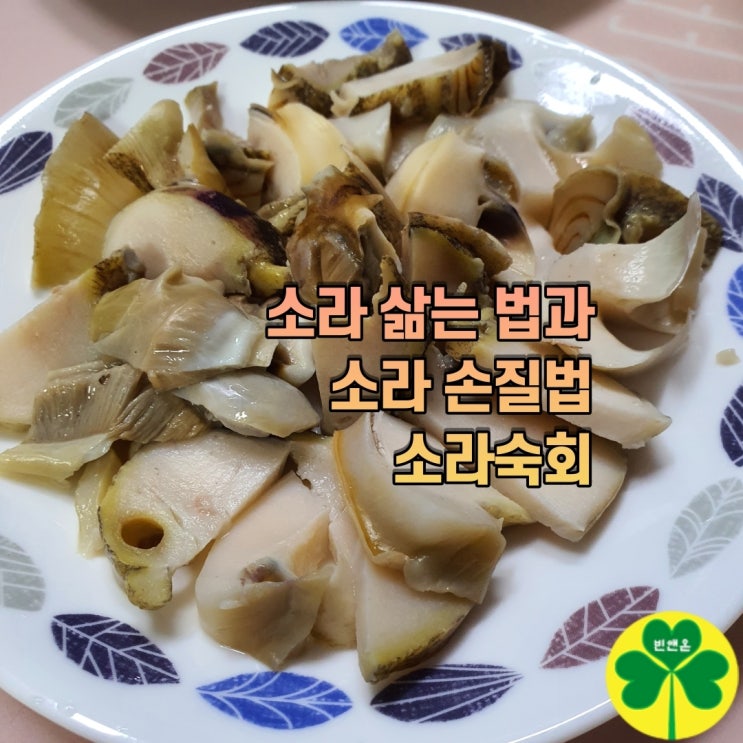  소라 삶는 법과 손질법 소라 숙회 만들기