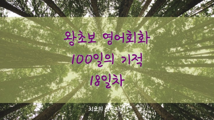  [엄마공부]왕초보 영어회화 100일의 기적 18일차
