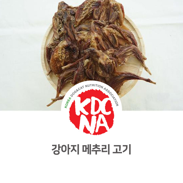  [수원 안양 펫푸드 자격증] 강아지 고양이 메추리 고기 영양_614