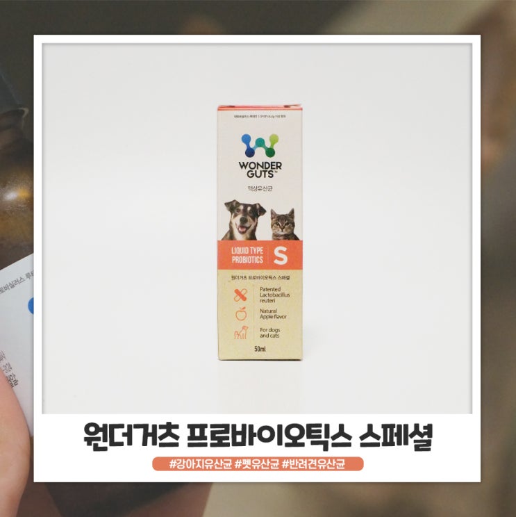 강아지유산균 액상형이라 급여하기 편리해요 강아지유산균 액상형이라 급여하기 편리해요