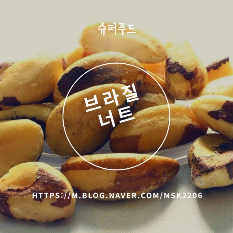  지구의 가장 완벽한 열매 슈퍼푸드 브라질너트 성분,효능