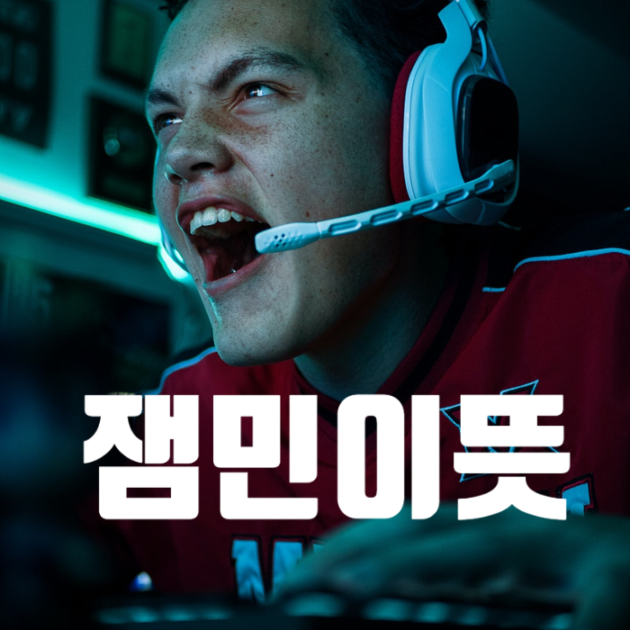  잼민이 뜻  트위치 배그 오버워치에서 많이 사용하는 말로 의미 알고 사용하자.