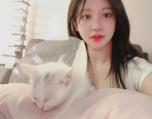  BJ아지땅, 극단적 사망 추정!? '좋은 곳으로 갔어요' 스폰 폭로