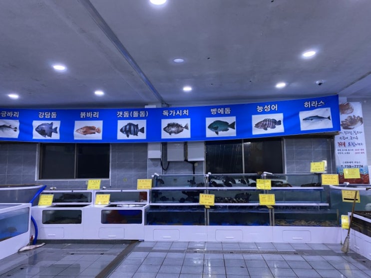  제주 서귀포 중문 횟집 - 포장전문 중문회어시장 너무 만족스러웠긔
