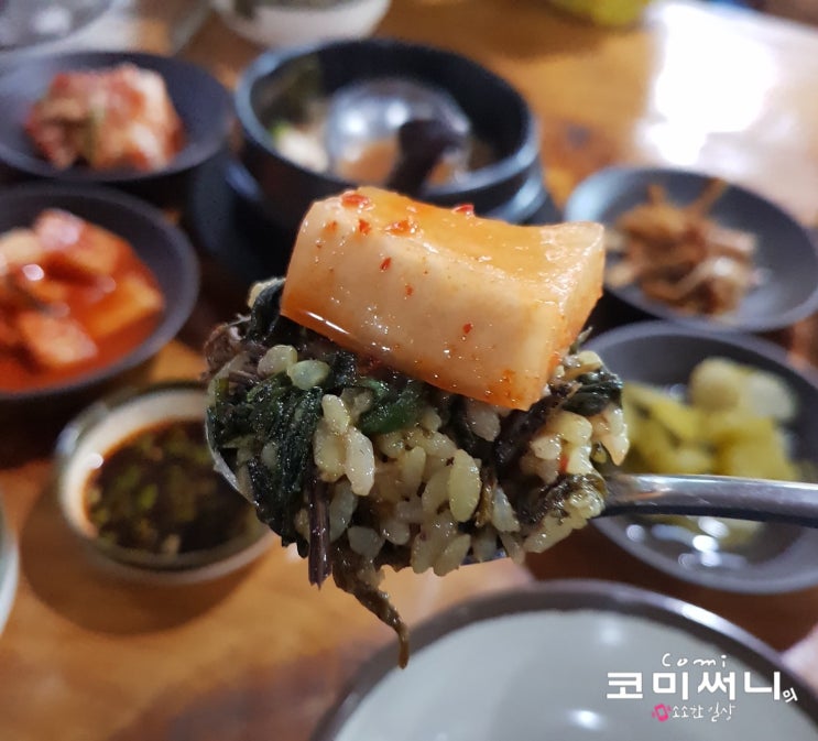 충북 괴산 맛집 조령산 자연휴양림 앞 샛고랑 식당 정갈한 건강 음식(feat.샛고랑 펜션)