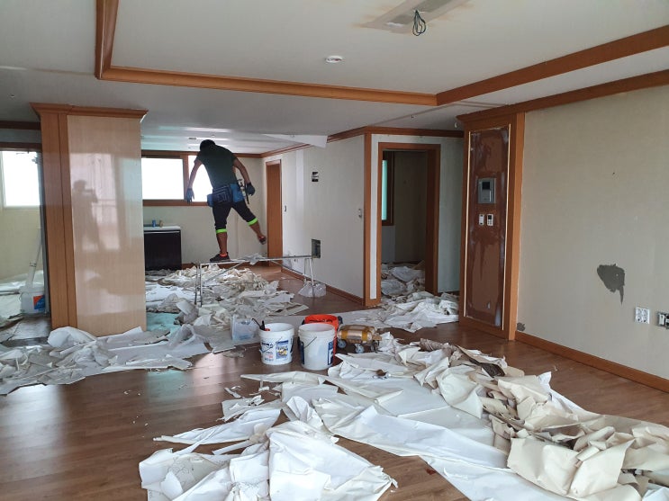 삼화부영5차 이사 제주도배업체추천 도배119 내돈내산후기 삼화부영5차 이사 제주도배업체추천 도배119 내돈내산후기