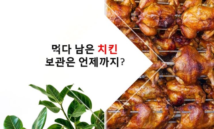  먹다 남은 닭고기 언제까지 냉장고에 두고 먹어도 될까?