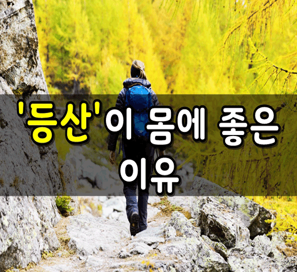  [제대로 알고갑시다] - 등산이 몸에 좋다지만 부작용도 있다.