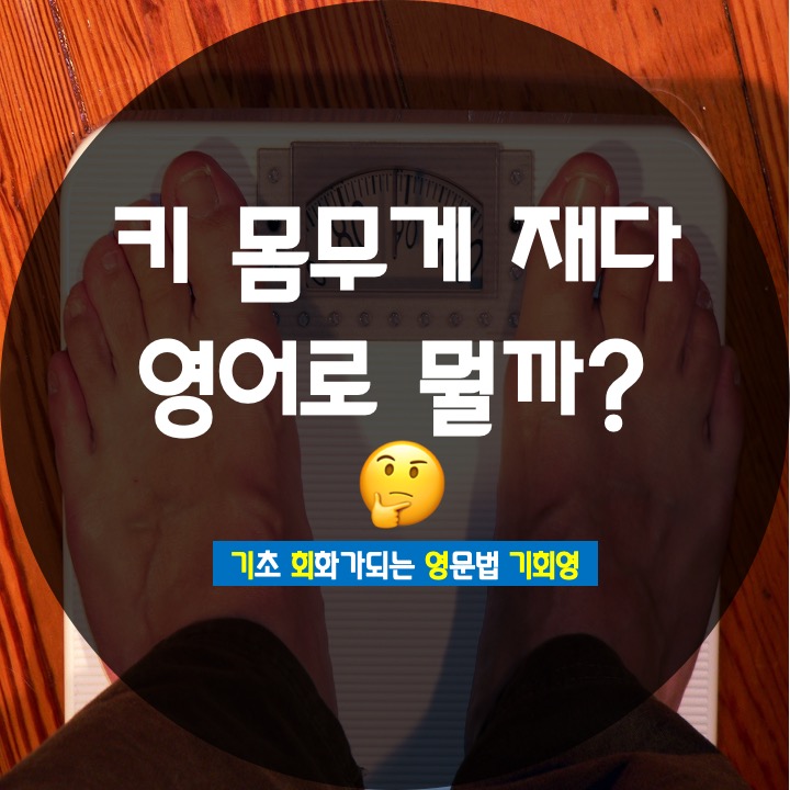  몸무게 키 영어로 어떻게 물어볼까? - 기회영 영어