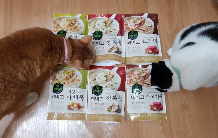  간편하게 비비고죽 450 양도 넉넉해요