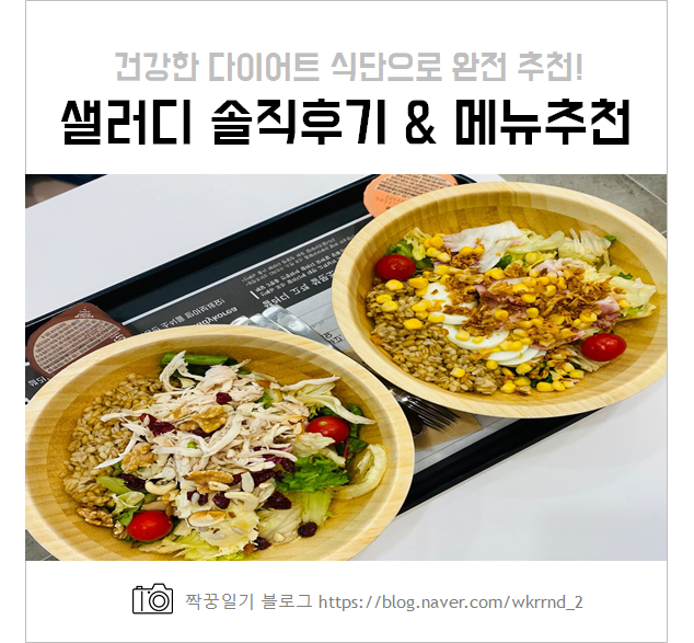  샐러드 맛집 SALADY 샐러디 탄단지, 칠리베이컨 솔직후기(칼로리, 가격, 드레싱 추천 등)