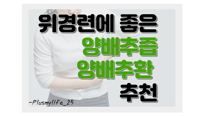  (내돈내산후기) 양배추즙/ 양배추환/ 양배추사과즙 /위경련