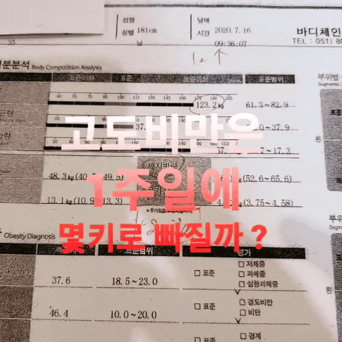  1주일 단기간 다이어트도 효과적으로 하는 방법 부산PT