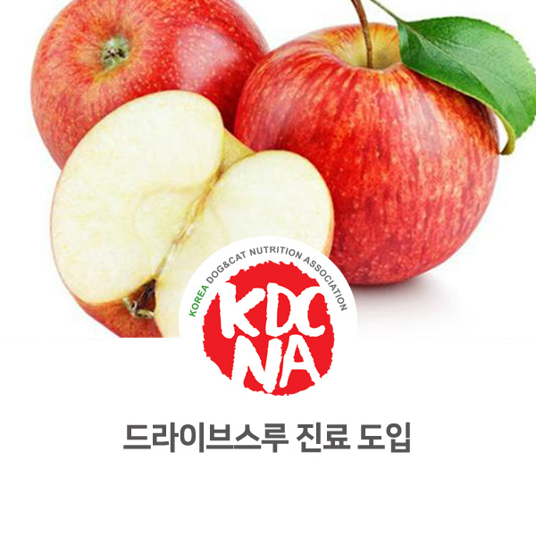  [반려동물 복지 혜택] 미국 강아지 고양이 드라이브스루 진료 도입_621