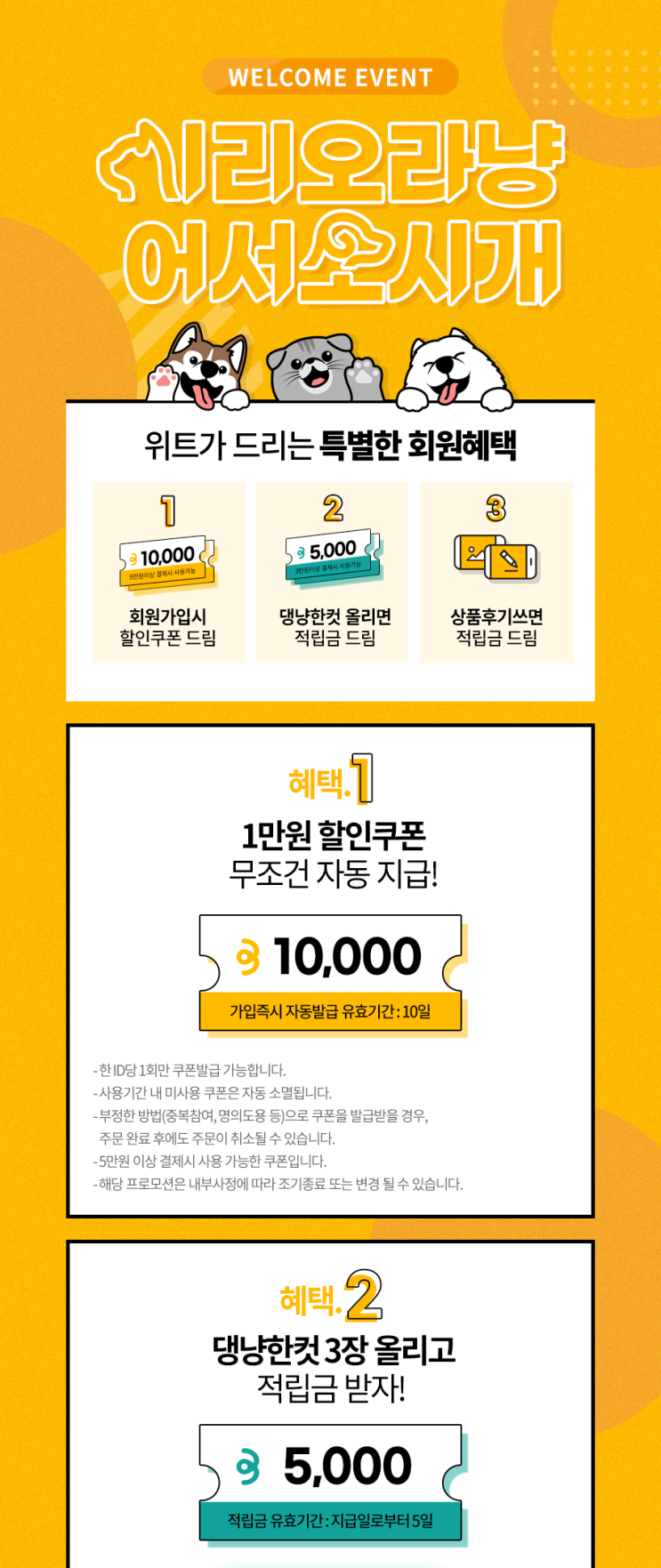  꿀팁 - 반려동물 커뮤니티 스토어 위트, 멤버쉽 혜택과 신규회원 가입 이벤트 정보