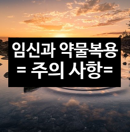  임신과 약물복용 주의사항