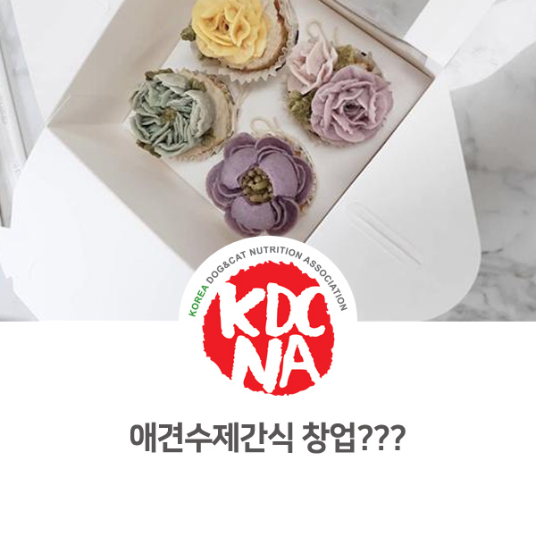  [수원 펫푸드 자격증] 반려동물영양사가 말하는 애견수제간식 예비창업, 창업, 폐업_618
