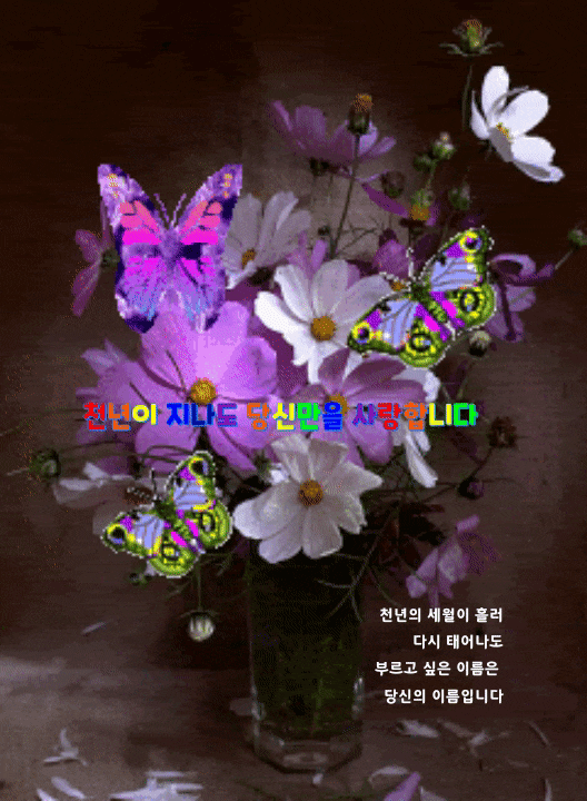 천년이 지나도 당신만을 사랑합니다 천년이 지나도 당신만을 사랑합니다
