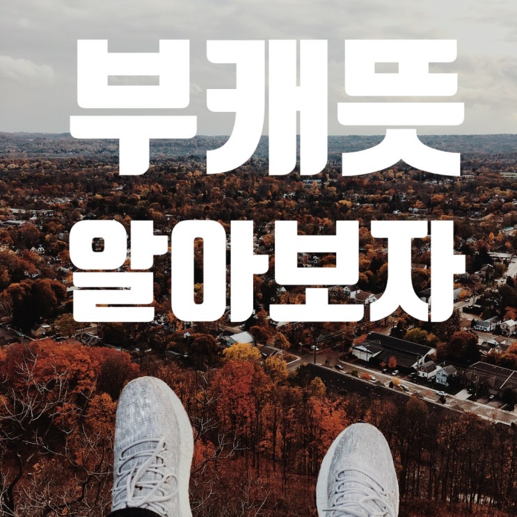  부캐뜻 당신의 부캐는?, 놀면뭐하니에서 나온 신조어 알아보자