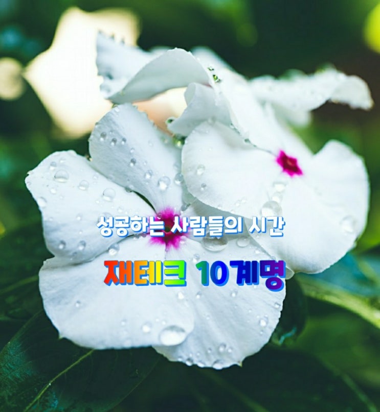 성공하는 사람들의 시간 재테크 10계명 성공하는 사람들의 시간 재테크 10계명