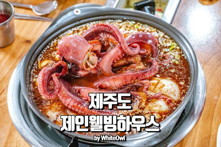  제주도 에코랜드 근처 맛집 제인웰빙하우스 통통찜 통문어가 그대로