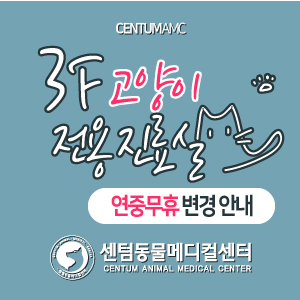  2020년 9월 말 3층 고양이 전용 진료실 연중무휴 개방 안내 (부산 수영 센텀동물메디컬센터)