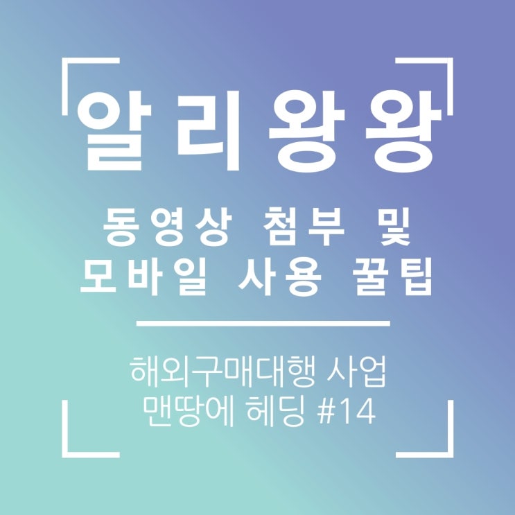  타오바오 알리왕왕 동영상 첨부하기 & 모바일 번역 사용 꿀팁
