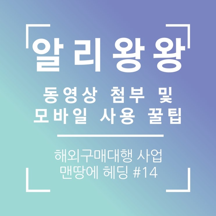 타오바오 알리왕왕 동영상 첨부하기 & 모바일 번역 사용 꿀팁