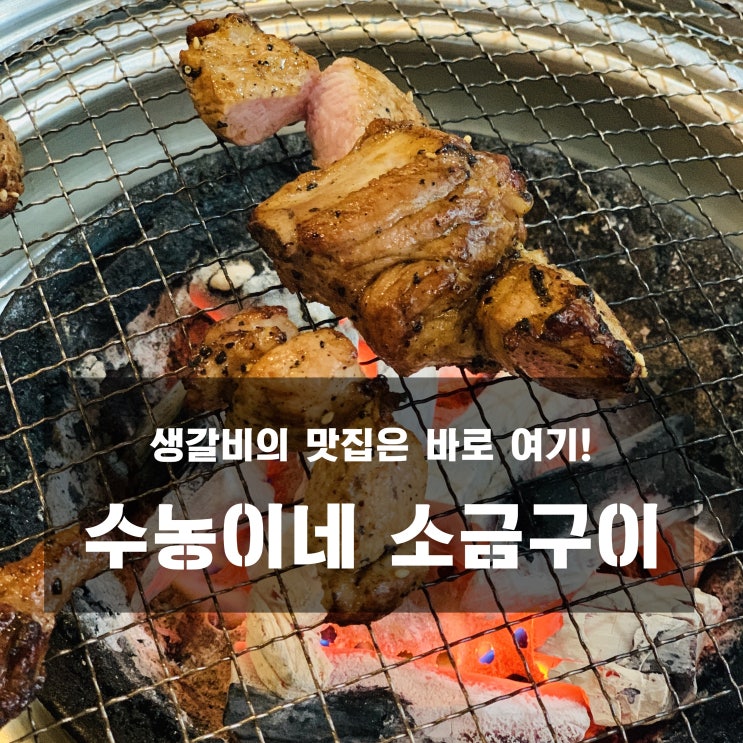  [구리 맛집]수농이네 소금구이 - 생갈비의 맛집